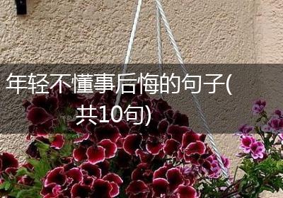 年轻不懂事后悔的句子(共10句)