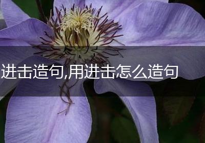 进击造句,用进击怎么造句