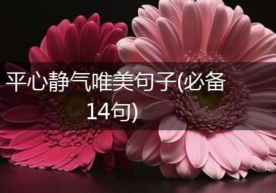 平心静气唯美句子(必备14句)