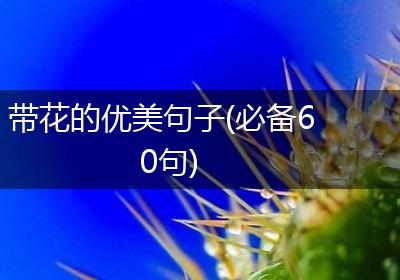 带花的优美句子(必备60句)