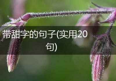 带甜字的句子(实用20句)