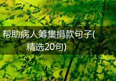 帮助病人筹集捐款句子(精选20句)