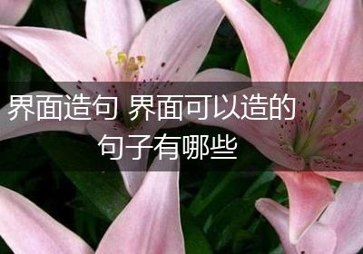 界面造句 界面可以造的句子有哪些