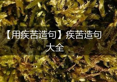 【用疾苦造句】疾苦造句大全