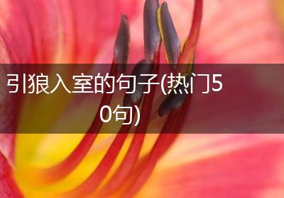 引狼入室的句子(热门50句)