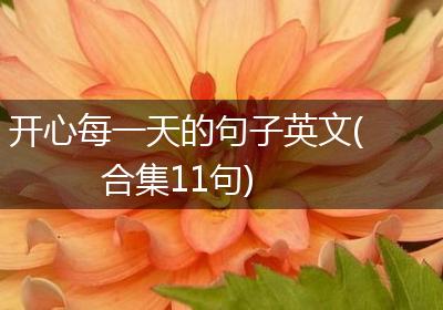 开心每一天的句子英文(合集11句)