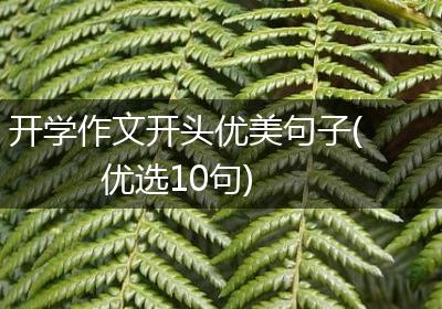 开学作文开头优美句子(优选10句)