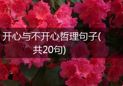 开心与不开心哲理句子(共20句)