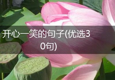 开心一笑的句子(优选30句)