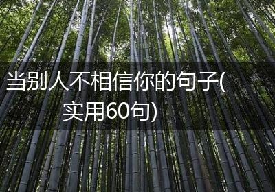 当别人不相信你的句子(实用60句)