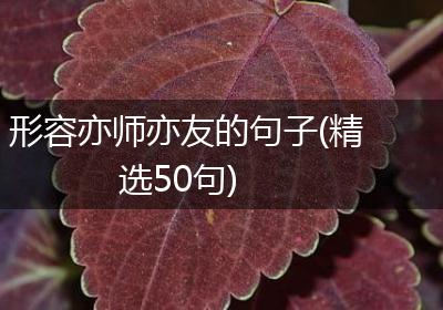 形容亦师亦友的句子(精选50句)