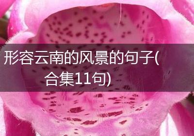 形容云南的风景的句子(合集11句)