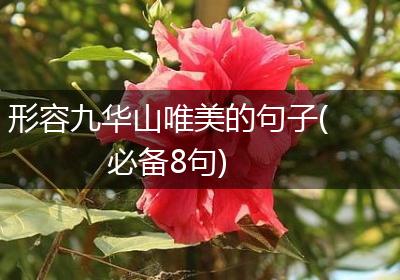 形容九华山唯美的句子(必备8句)