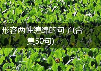 形容两性缠绵的句子(合集50句)