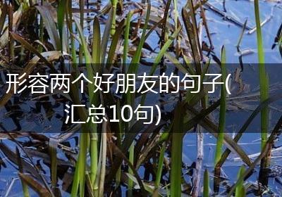 形容两个好朋友的句子(汇总10句)
