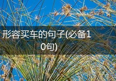 形容买车的句子(必备10句)