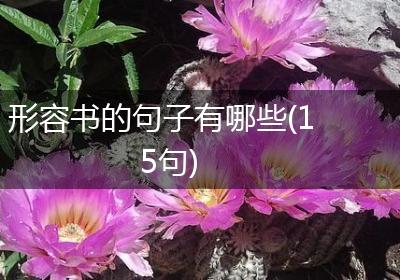 形容书的句子有哪些(15句)