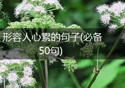 形容人心累的句子(必备50句)