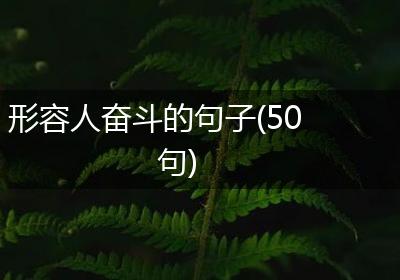 形容人奋斗的句子(50句)