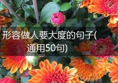 形容做人要大度的句子(通用50句)
