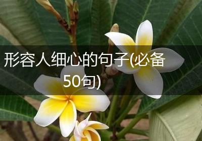 形容人细心的句子(必备50句)