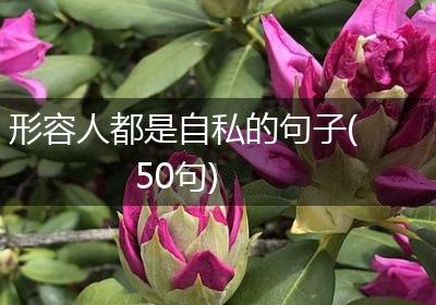 形容人都是自私的句子(50句)