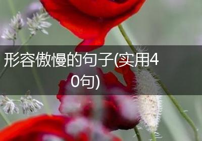 形容傲慢的句子(实用40句)