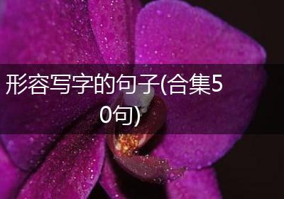 形容写字的句子(合集50句)