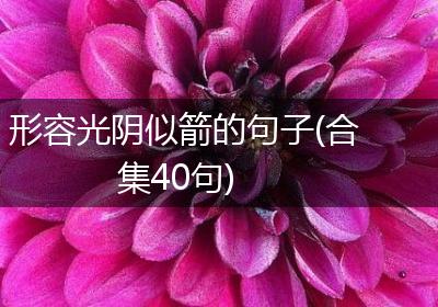 形容光阴似箭的句子(合集40句)