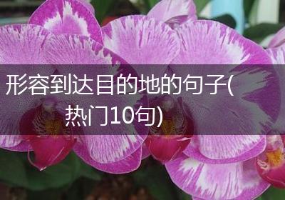 形容到达目的地的句子(热门10句)