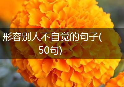 形容别人不自觉的句子(50句)