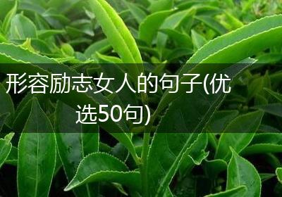 形容励志女人的句子(优选50句)