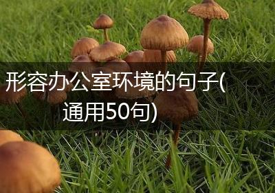 形容办公室环境的句子(通用50句)