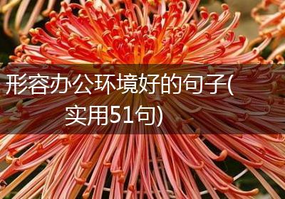 形容办公环境好的句子(实用51句)