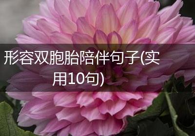 形容双胞胎陪伴句子(实用10句)
