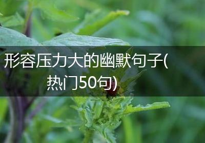 形容压力大的幽默句子(热门50句)