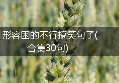 形容困的不行搞笑句子(合集30句)