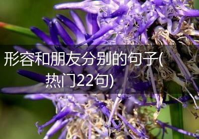 形容和朋友分别的句子(热门22句)