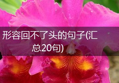 形容回不了头的句子(汇总20句)