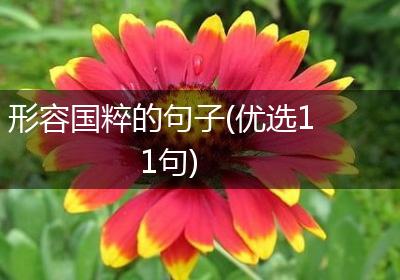 形容国粹的句子(优选11句)