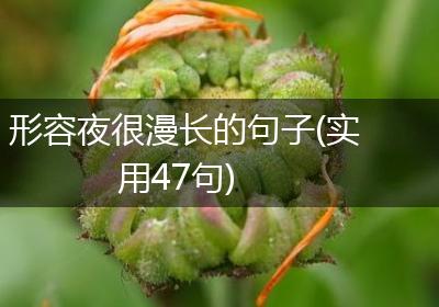 形容夜很漫长的句子(实用47句)