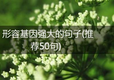 形容基因强大的句子(推荐50句)