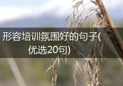 形容培训氛围好的句子(优选20句)