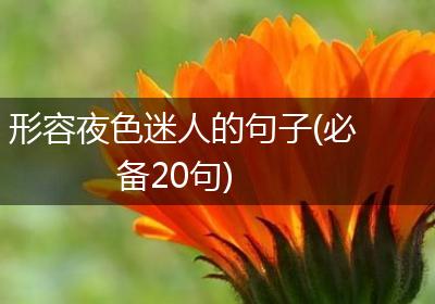 形容夜色迷人的句子(必备20句)