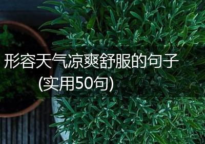 形容天气凉爽舒服的句子(实用50句)