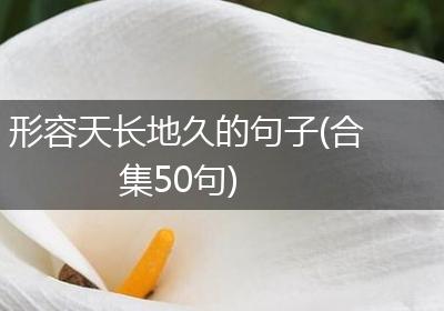 形容天长地久的句子(合集50句)