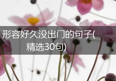 形容好久没出门的句子(精选30句)