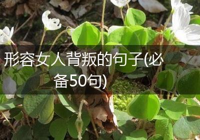形容女人背叛的句子(必备50句)