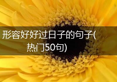形容好好过日子的句子(热门50句)