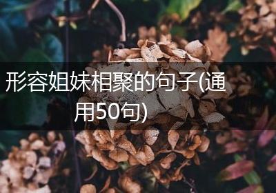 形容姐妹相聚的句子(通用50句)